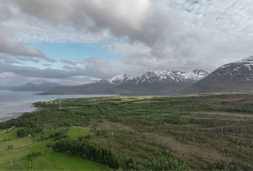 Borealis _ Ellipse Bikes